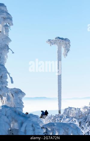 Deutschland, Baden-Württemberg, Schwarzwald, Hornisgrinde, umgekehrter Baumstamm mit Wurzeln. Stockfoto
