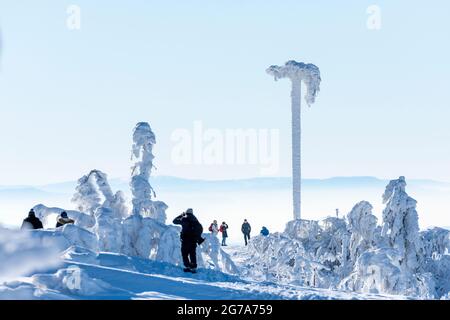 Deutschland, Baden-Württemberg, Schwarzwald, Hornisgrinde, umgekehrter Baumstamm mit Wurzeln. Stockfoto