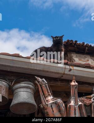 Kupferverkäufer hängt Kupfertöpfe zum Verkauf und die Katze schaut sich auf dem Dach des Ladens um Stockfoto