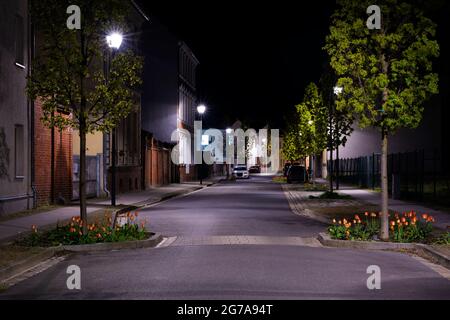 Nachts auf der Straße, kleine Seitenstraßen mit geparkten Autos und Tulpen auf der Seite der Straße Stockfoto