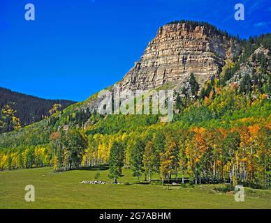 San Juan hat eine Klippe mit Aspen-Hainen und Grünflächen Stockfoto