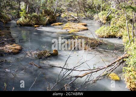 Wiesen und Wasserwelten im Gasterental, Schweiz Stockfoto