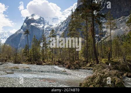 Wiesen und Wasserwelten im Gasterental, Schweiz Stockfoto