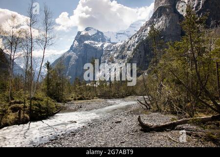 Wiesen und Wasserwelten im Gasterental, Schweiz Stockfoto