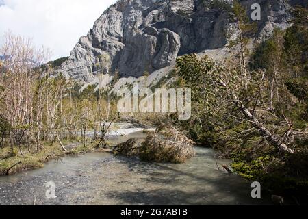 Wiesen und Wasserwelten im Gasterental, Schweiz Stockfoto