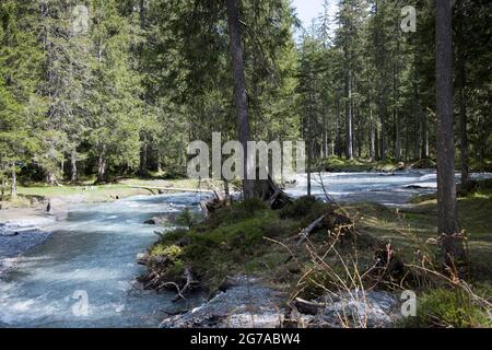 Wiesen und Wasserwelten im Gasterental, Schweiz Stockfoto