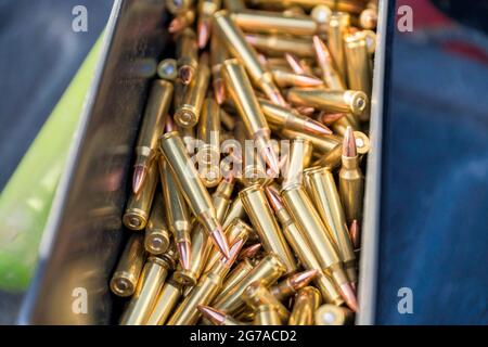 Viele lange, scharfe Kugeln in seinem Gehäuse mit einem blauen Tuch an der Seite. Stockfoto