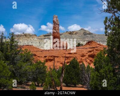 Kodachrome Basin Park, Utah, USA, benannte dieses farbenfrohe Gebiet 1949 von der National Geographic Expedition nach dem Handelsnamen des Kodak Farbfilms, Stockfoto