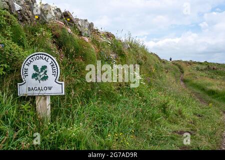 Der South West Coast Path zwischen Trebarwith Strand und Tintagel. Ein Schild des National Trust in Bagalow mit Heckenblumen und Pfad im Frühsommer. Stockfoto