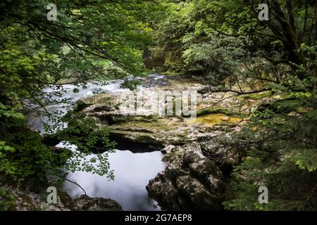 Orbe-Wasserlauf im Waadtländer Jura Stockfoto