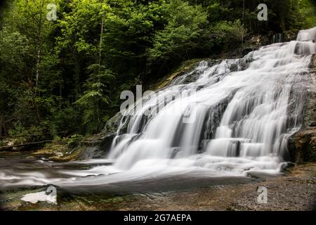 Orbe-Wasserlauf im Waadtländer Jura Stockfoto