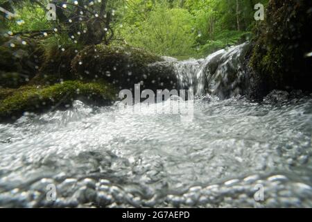 Orbe-Wasserlauf im Waadtländer Jura Stockfoto