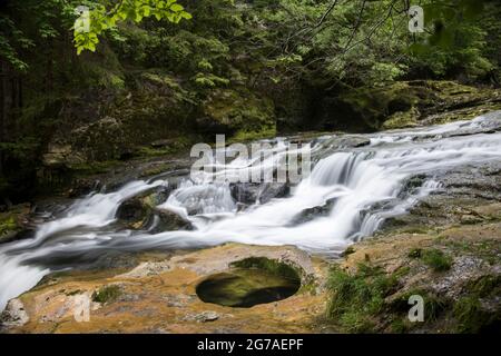 Orbe-Wasserlauf im Waadtländer Jura Stockfoto