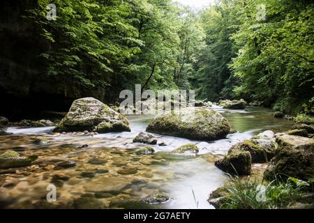 Orbe-Wasserlauf im Waadtländer Jura Stockfoto