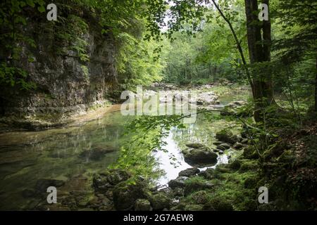 Orbe-Wasserlauf im Waadtländer Jura Stockfoto