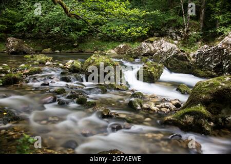 Orbe-Wasserlauf im Waadtländer Jura Stockfoto