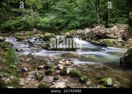 Orbe-Wasserlauf im Waadtländer Jura Stockfoto
