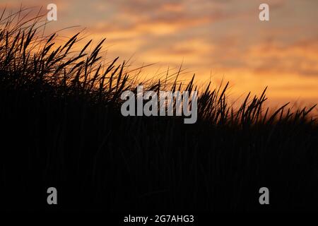 Europa, Dänemark, Nordjütland. Abendwolken über den Dünen. Stockfoto