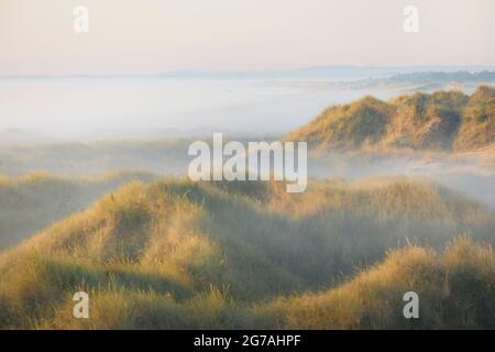 Europa, Dänemark, Nordjütland. Morgennebel in den Dünen von Ã…lbæk biegt bei Sonnenaufgang ab. Stockfoto