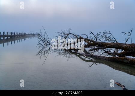 Morgendämmerung am Wörthsee, Kreis Starnberg, Oberbayern, Bayern, Deutschland, Europa Stockfoto