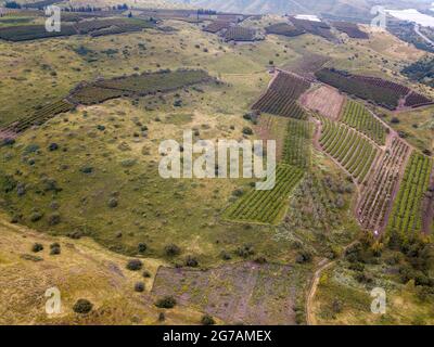 Berglandschaft im Frühling in den Golanhöhen, Israel. Stockfoto