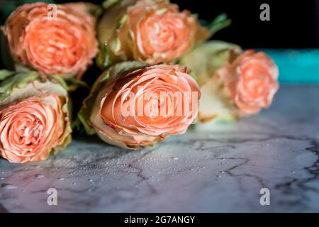 Bouquet von Pfingstrosen von juliet. Korallenblumen, floraler Hintergrund Stockfoto