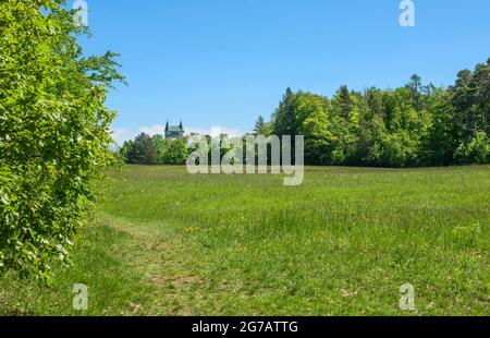 Deutschland, Baden-Württemberg, Pfullingen, Pflanzenschutzgebiet Schönbergwiese am Schönbergturm. Schwäbische Alb. Stockfoto