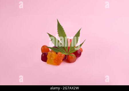 Gummibären aus Cannabis Medizinisches Marihuana mit frischem grünen Cannabisblatt vor rosa Hintergrund. CBD und THC Medizinprodukt. Stockfoto