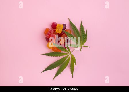 Gummibären aus Cannabis Medizinisches Marihuana mit frischem grünen Cannabisblatt vor rosa Hintergrund. CBD und THC Medizinprodukt. Stockfoto