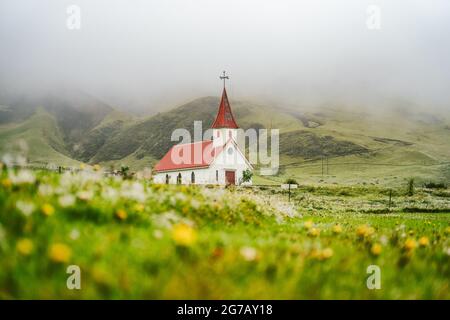 Typische ländliche isländische Kirche mit rotem Dach in der Region Vik. Island. Blütenblume und Laub im Vordergrund Stockfoto