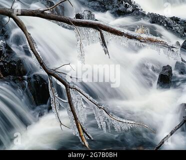 Milchzweig durch Wasserfall, Baxter State Park, Millinocket, Maine, USA Stockfoto