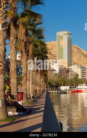 Von Palmen gesäumte Alicante-Promenade entlang des Yachthafens, Alicante, Valencia, Spanien. Das 97m hohe Gran Sol Gebäude dahinter. Auch bekannt als Hotel Gran Sol, Hotel Tryp Gran Sol und offiziell Edificio Alonso. Mount Benacantil im Hintergrund Stockfoto