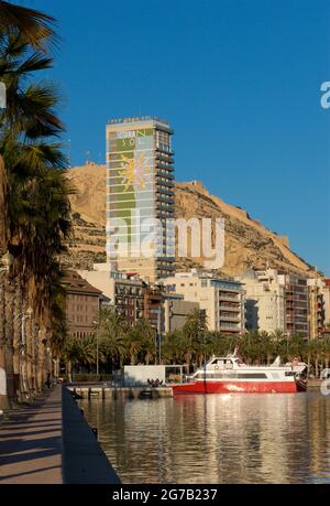 Von Palmen gesäumte Alicante-Promenade entlang des Yachthafens, Alicante, Valencia, Spanien. Das 97m hohe Gran Sol Gebäude dahinter. Auch bekannt als Hotel Gran Sol, Hotel Tryp Gran Sol und offiziell Edificio Alonso. Mount Benacantil im Hintergrund Stockfoto