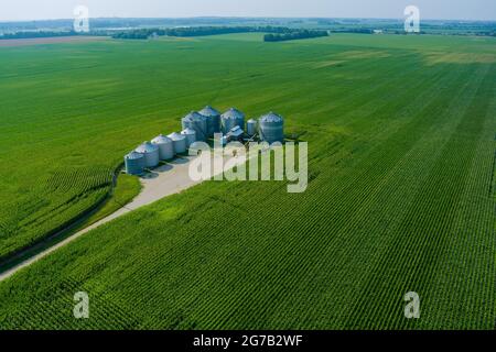 Agro-Verarbeitungsanlage Silos für die Trocknung Reinigung Lagerung von landwirtschaftlichen Produkte Körnung Stockfoto