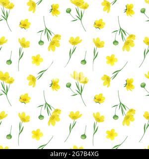 Gelbe Butterblumen, Wildblumen nahtlose Muster Aquarell Illustration, Sommer Wiese wiederholen Ornament, Waldpflanzen, zarte florale Elemente für Grußkarten, Einladungen, Wohnkultur Ideen Stockfoto