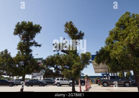 Augusta, GA USA - 04 21 21: Lange Warteschlangen an der Sams-Tankstelle mit klarem blauen Himmel - Bobby Jones Expressway Stockfoto
