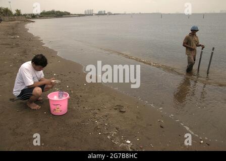 East Ancol, Jakarta, Indonesien. Juni 2009. Wissenschaftler des Indonesischen Instituts der Wissenschaften (LIPI) arbeiten mit Forschungsinstrumenten am Strand, der Teil einer Reihe ihrer Forschungsaktivitäten ist, um unter anderem herauszufinden, wie weit die Meerwasserinfiltration die Qualität der Grundwasserquelle in der Stadt Jakarta, Indonesien, beeinflusst hat. Jakarta leidet unter Landsenkungen, Seewasserinfiltration und Überschwemmungen. Stockfoto