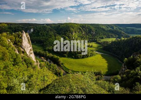 Blick von Stiegelesfelsen, bei Fridingen, Naturpark Obere Donau, Oberes Donautal, Donau, Schwäbische Alb, Baden-Württemberg, Deutschland Stockfoto