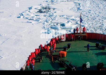 Touristen auf einem Eisbrecher beobachten einen Eisbären (Ursus maritimus) in der hohen Arktis in der Nähe des Nordpols Stockfoto