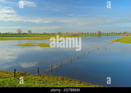 Hochwasser, überflutete Wiesen, Rhein, Schenkenschanz, Niederrhein, Nordrhein-Westfalen, Deutschland Stockfoto