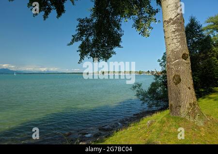 Chiemsee, Jachthafen von Seebruck, August, Seebruck, Chiemgau, Bayern, Deutschland Stockfoto