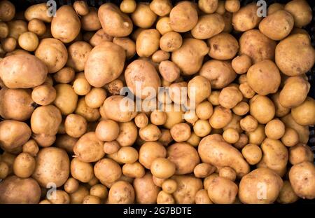 Karton gefüllt mit Kartoffeln in verschiedenen Größen auf einem Bauernmarkt. Stockfoto