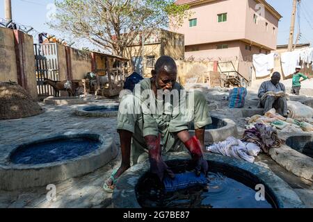 Mann färben mit Indigo Clothes, Färben von Gruben, Kano, Bundesstaat Kano, Nigeria Stockfoto