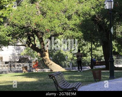 Lissabon, Lissabon Portugal. Juli 2021. (INT) Bewegung auf dem Alegria-Platz in Lissabon. 12. Juli 2021, Lissabon, Portugal: Bewegung auf dem Alegria-Platz in Lissabon, der Exemplare exotischer Vegetation und einen See mit Brunnen zeigt. Das Place befindet sich in der Nähe der Avenida Liberdade. Quelle: Edson de Souza/TheNews2 Quelle: Edson De Souza/TheNEWS2/ZUMA Wire/Alamy Live News Stockfoto