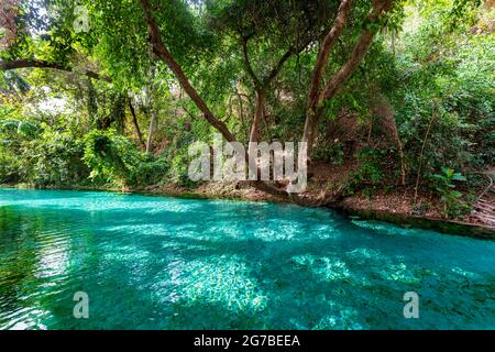 Türkisfarbene Wikki-Quellen, Yankari-Nationalpark, Ostnigeria Stockfoto