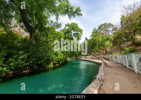 Türkisfarbene Wikki-Quellen, Yankari-Nationalpark, Ostnigeria Stockfoto