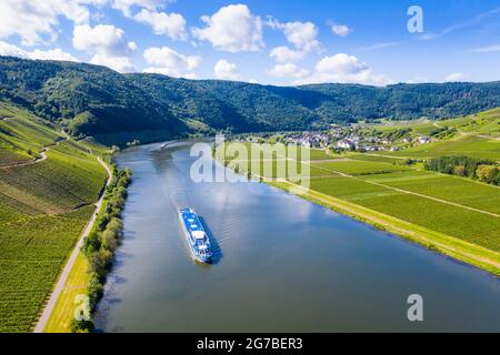 Flusskreuzfahrtschiff auf der Mosel bei Mehring, Moseltal, Deutschland Stockfoto