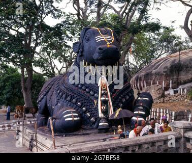 16 Fuß Monolith Nandi Bull in Chamundi Hill, Mysore, Karnataka, Indien Stockfoto