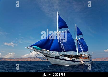 Segelschoner S/Y Indo Siren, Tauchboot, Tauchsafari, unter Segel, Seeschiff, Segel, blau, Flores-See, Komodo-Nationalpark, Lesser Sunda Stockfoto