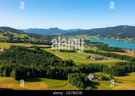 Drohnenbild, Agrarlandschaft, Zell am Moos am Irrsee, Salzkammergut, Oberösterreich, Österreich Stockfoto